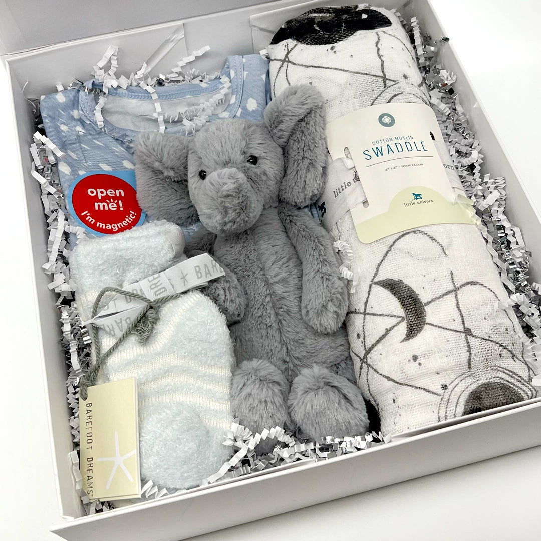 Baby Bundle Box (Boy) - curated by ives