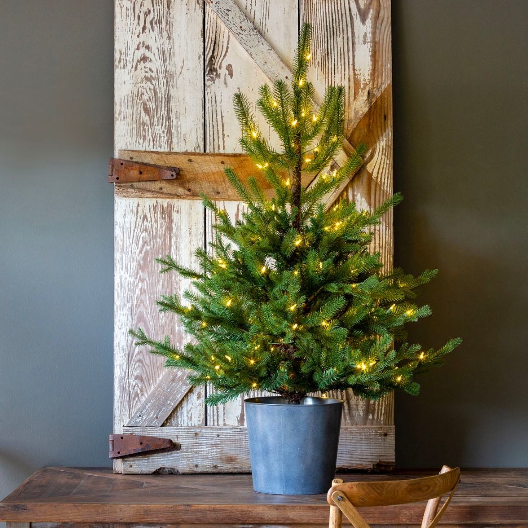 Lighted Potted Porch Fir Tree