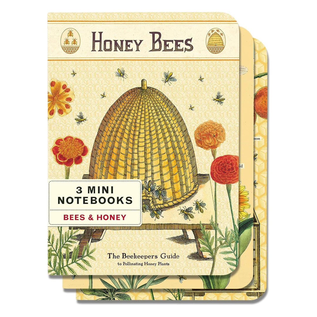 Cavallini Mini Notebooks- set of 3