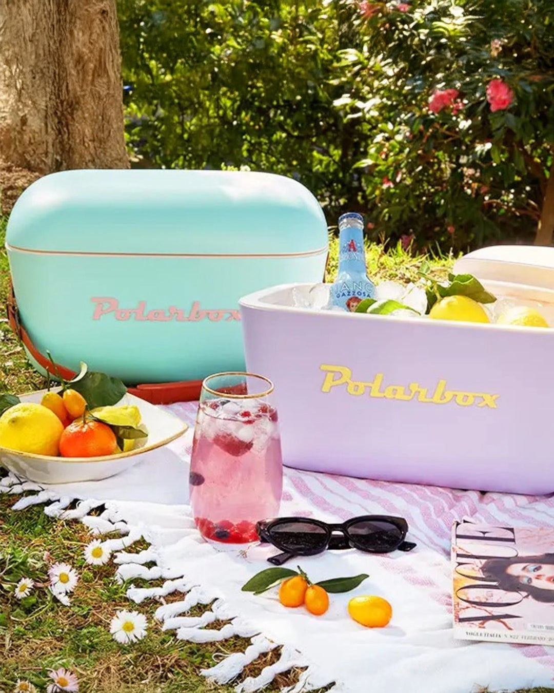 Polarbox 21qt