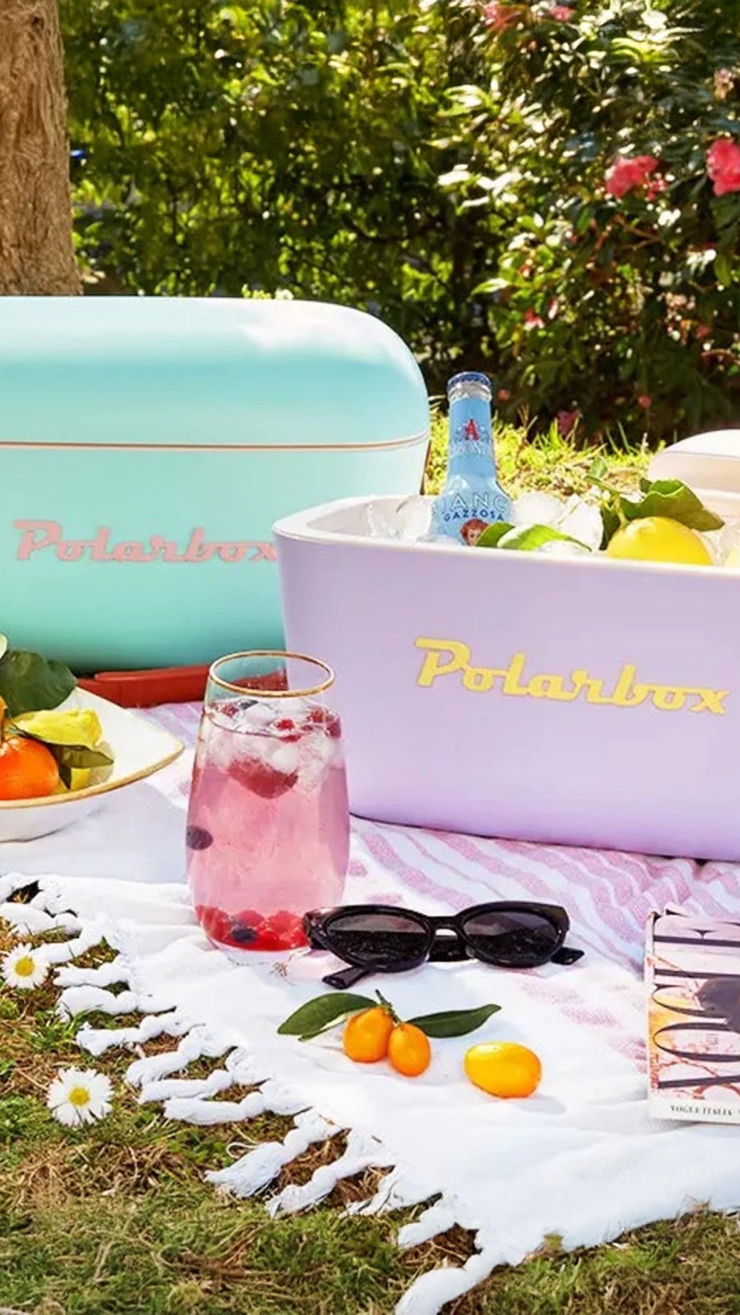 Polarbox 21qt