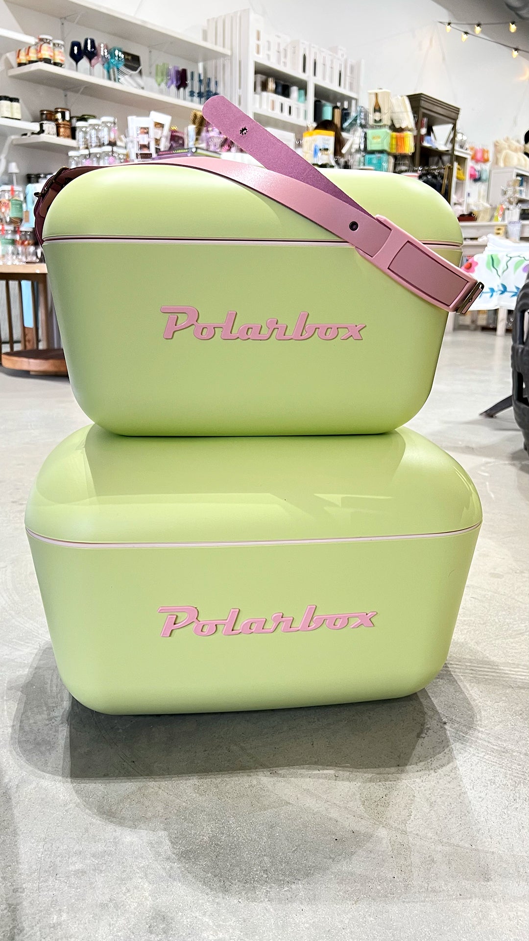 Polarbox 21qt