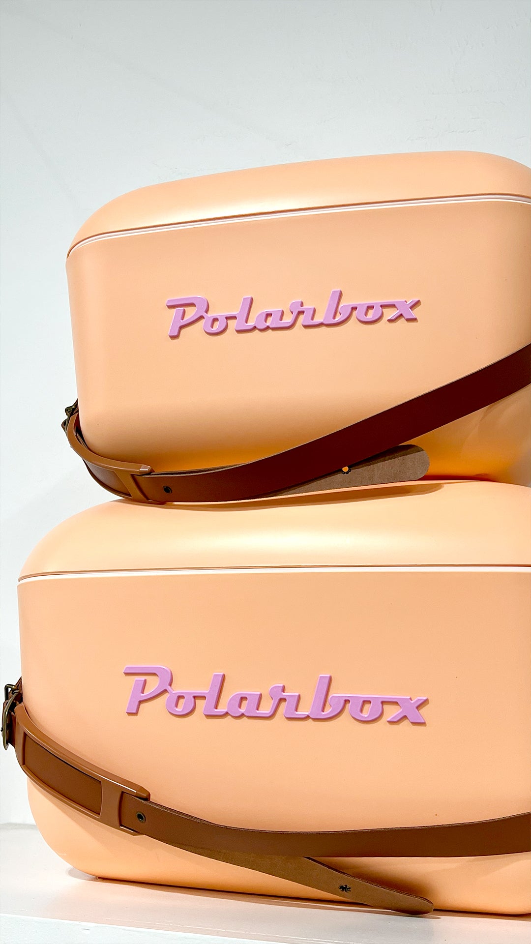 Polarbox 21qt