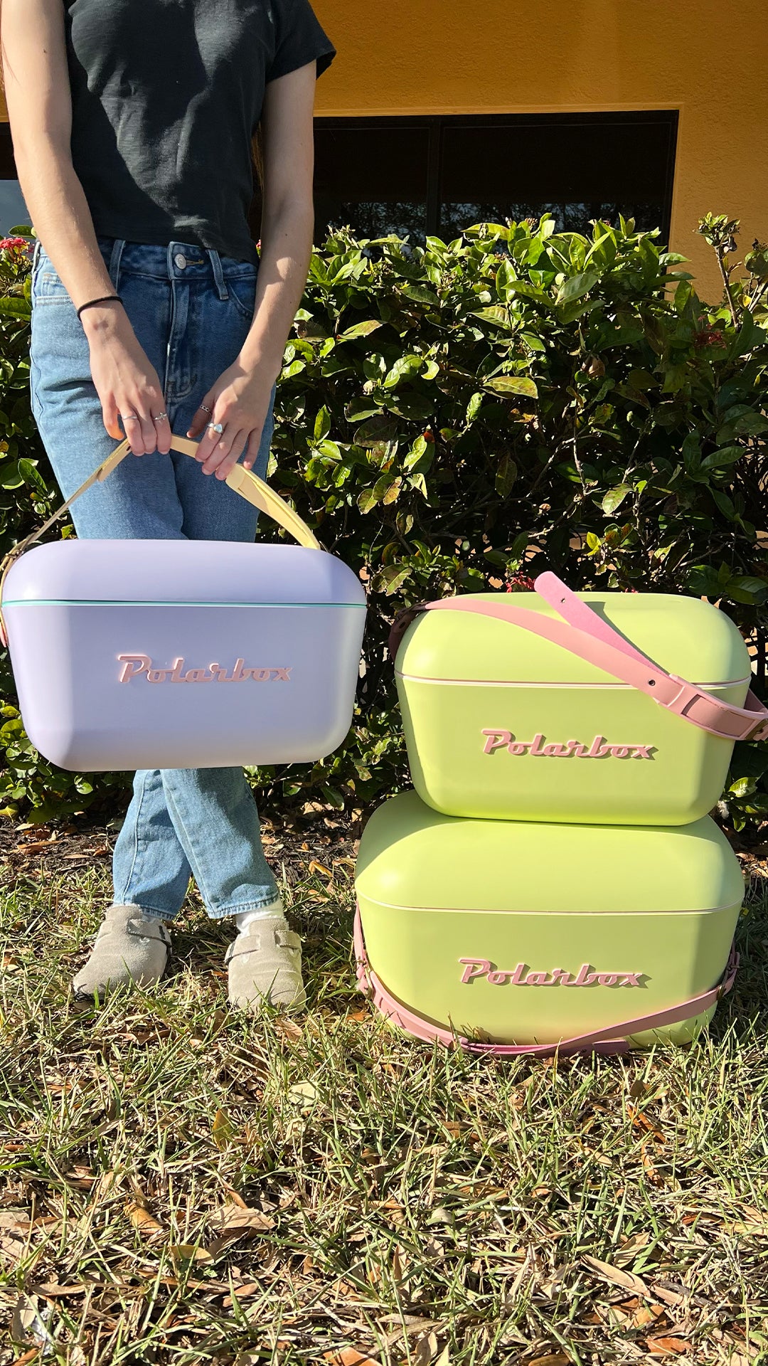 Polarbox 21qt