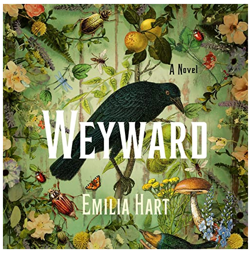 Weyward: A Novel