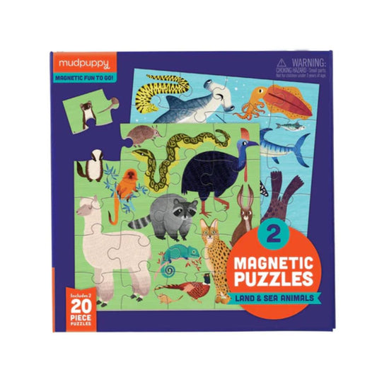 Magnetic Puzzles