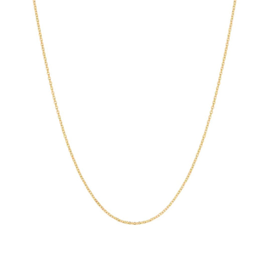 Rae Cable Chain Necklace