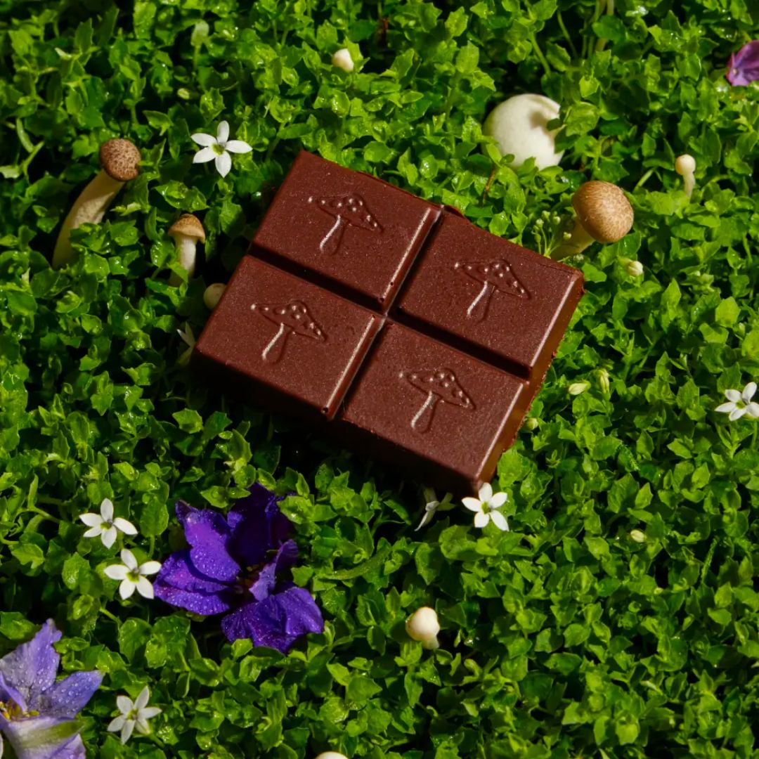 Mushroom Chocolates