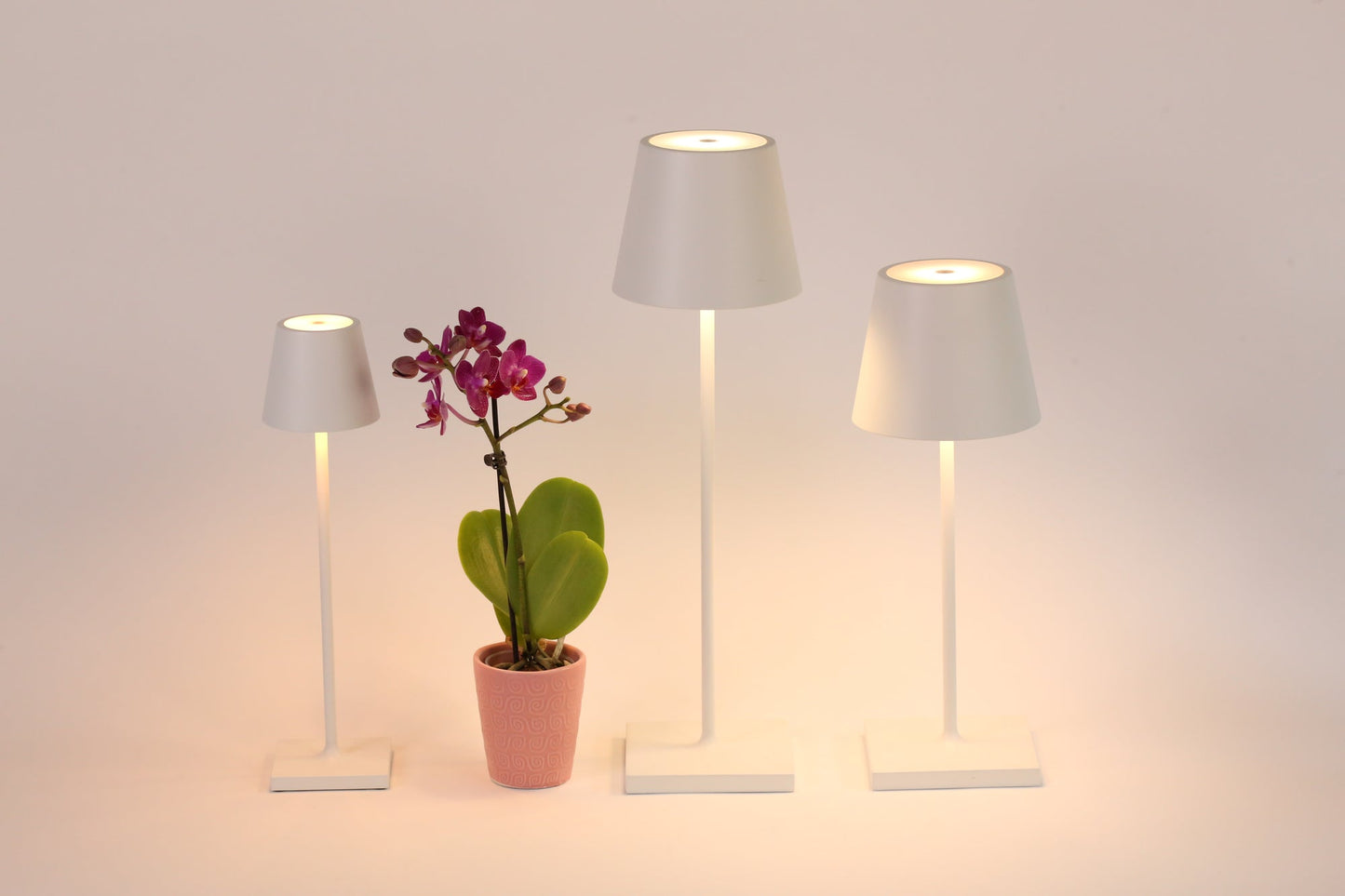 Poldina Pro Micro Lamp